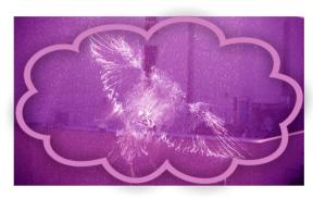 1581252-7435