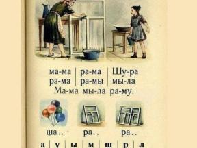 1975384-1355