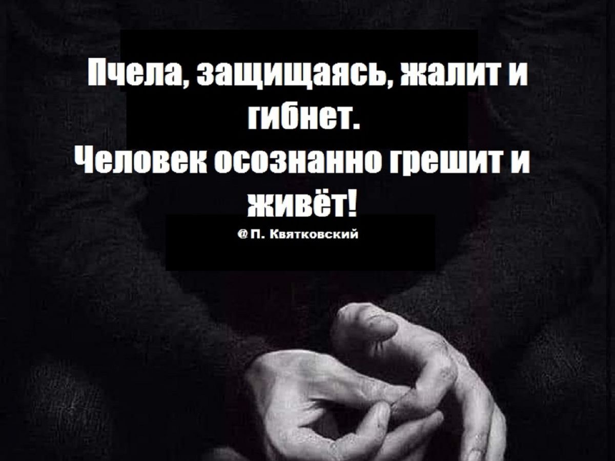Иллюстрация к публикации