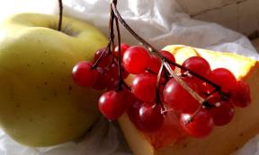1981297-5102