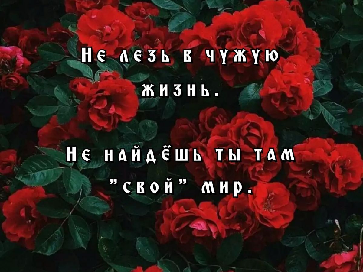 Иллюстрация к публикации