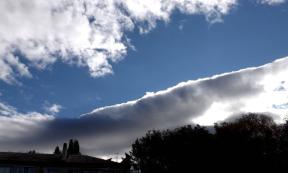 1982662-3177