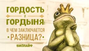 1983536-7538