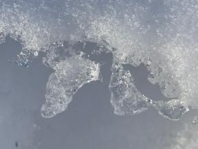 1985776-5831