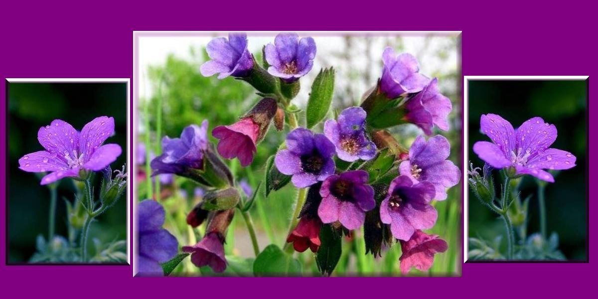 Иллюстрация к публикации