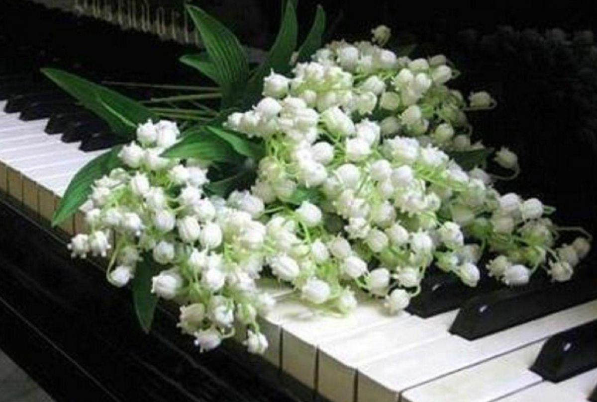 Иллюстрация к публикации