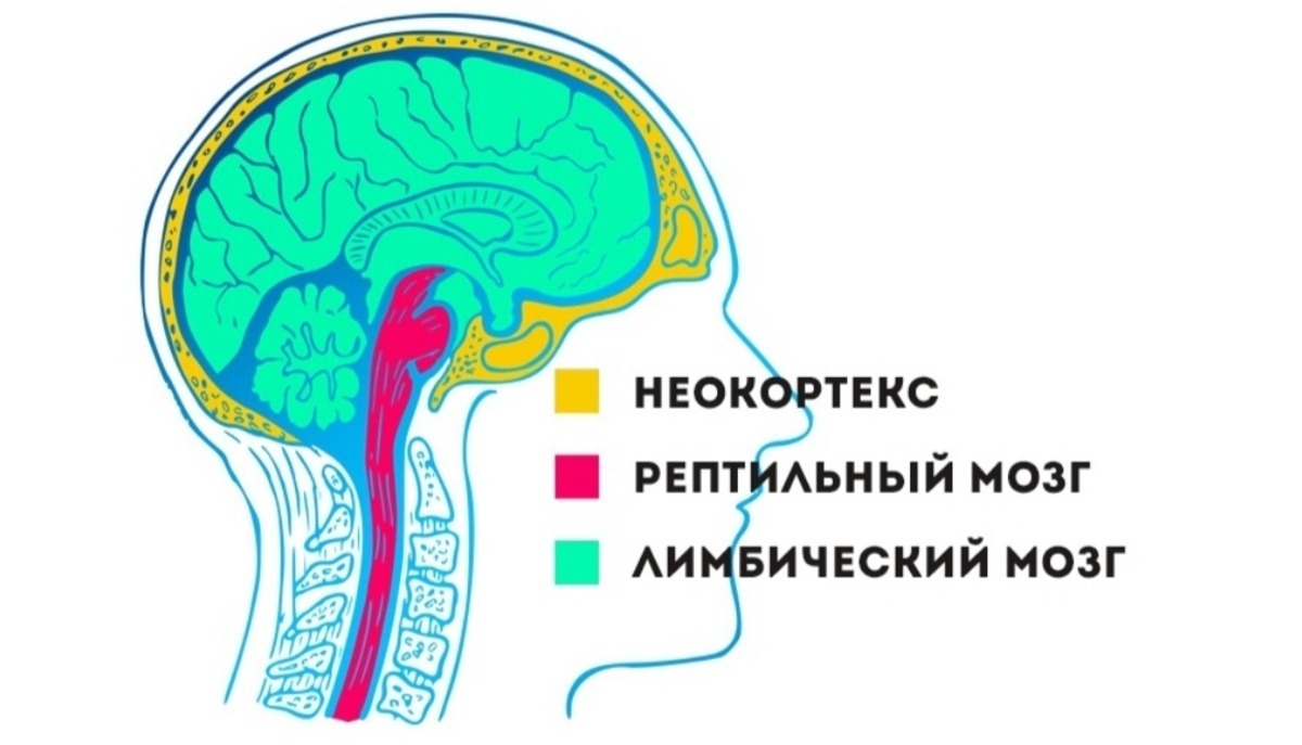 Иллюстрация к публикации