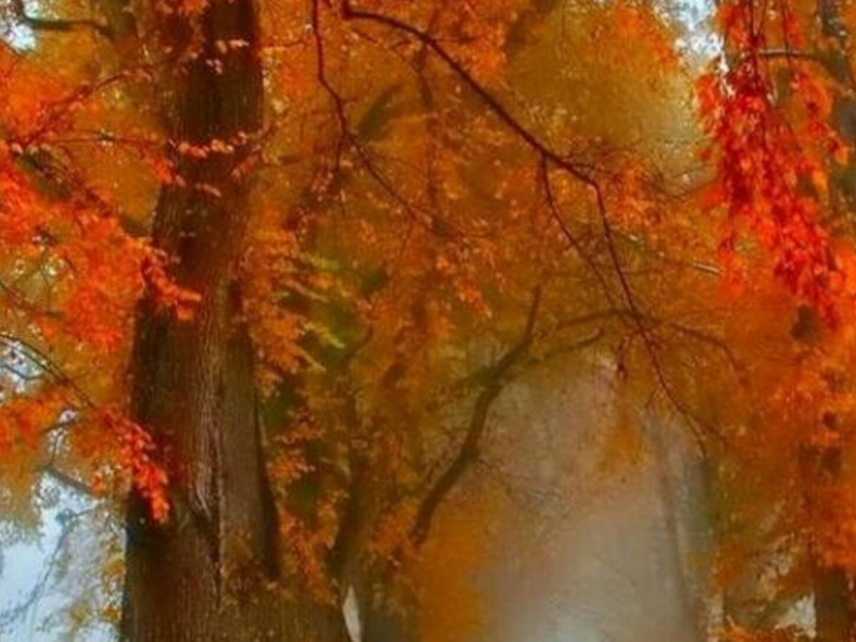 Иллюстрация к публикации