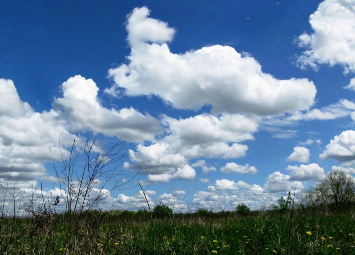 Иллюстрация к публикации