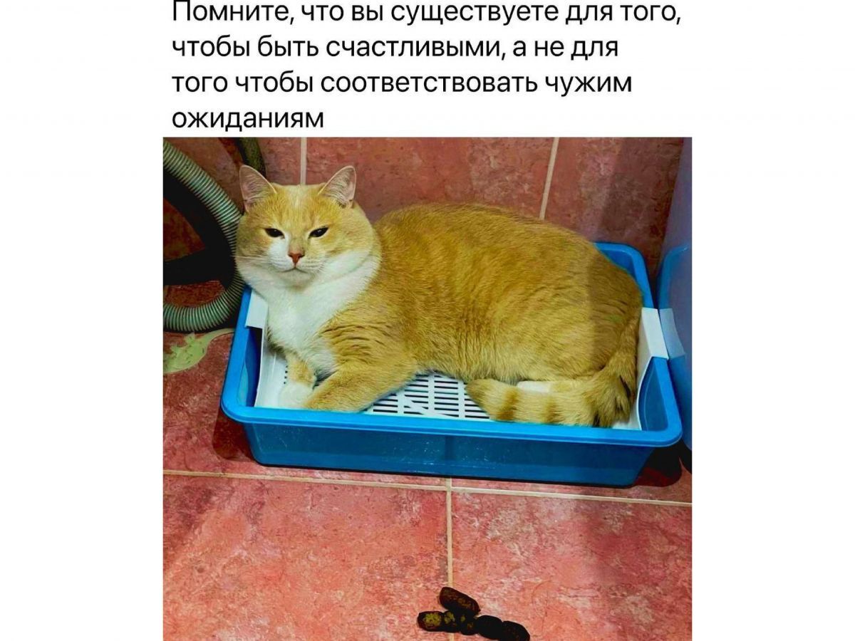 Иллюстрация к публикации