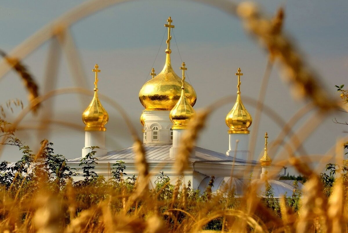 Иллюстрация к публикации