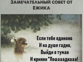 2015244-5659