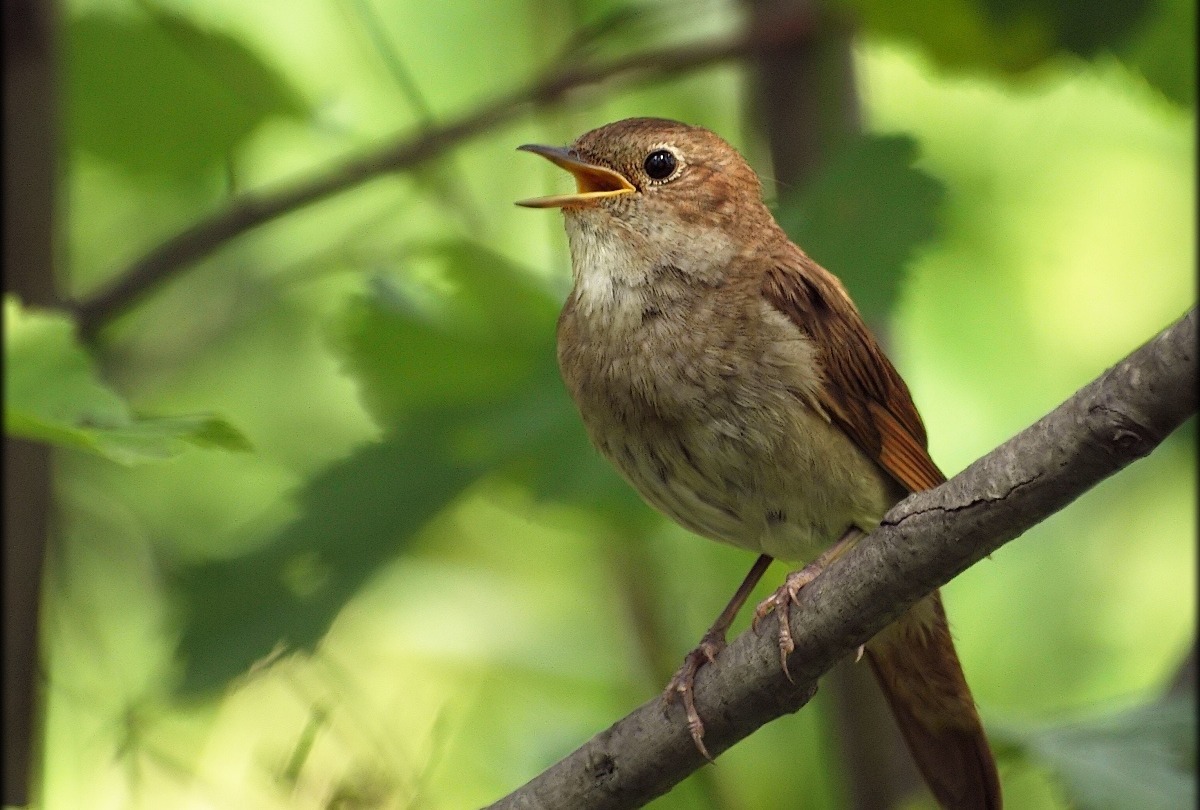 Иллюстрация к публикации