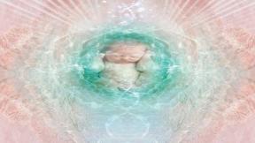 2022167-9965