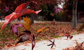 1587873-4290