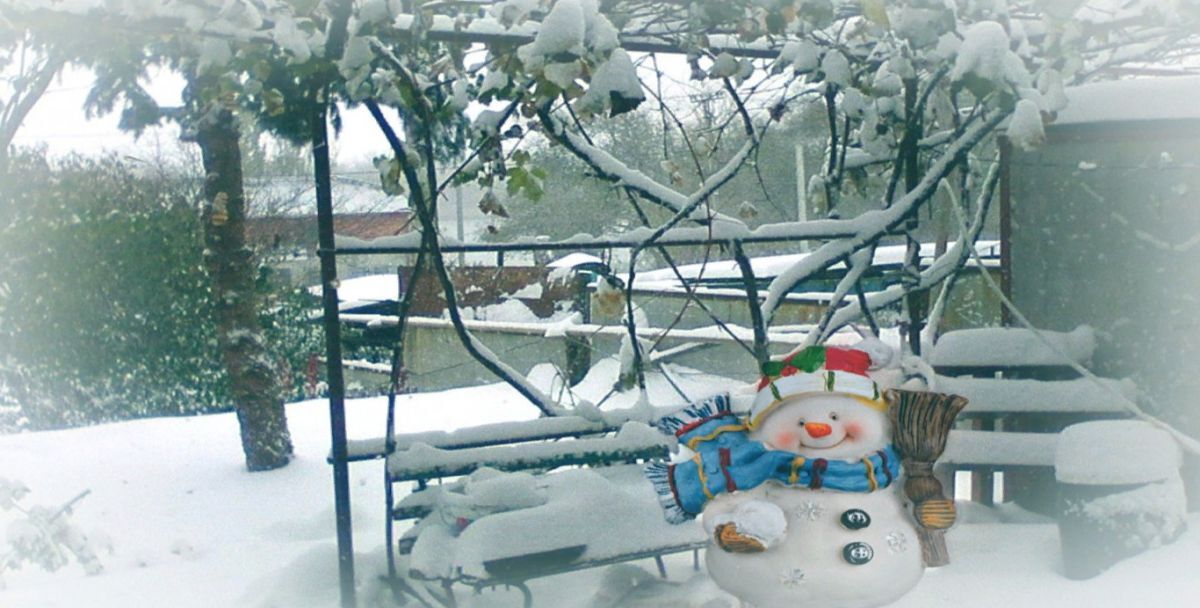 Иллюстрация к публикации