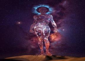 2028170-6619