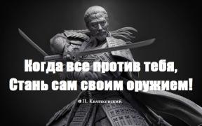 2037326-8583