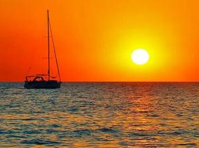 2043635-7334
