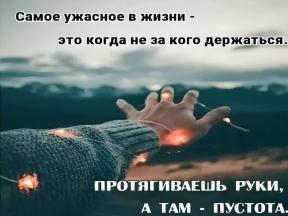 2048272-3981