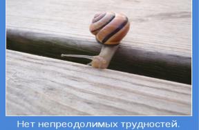 2049364-0241