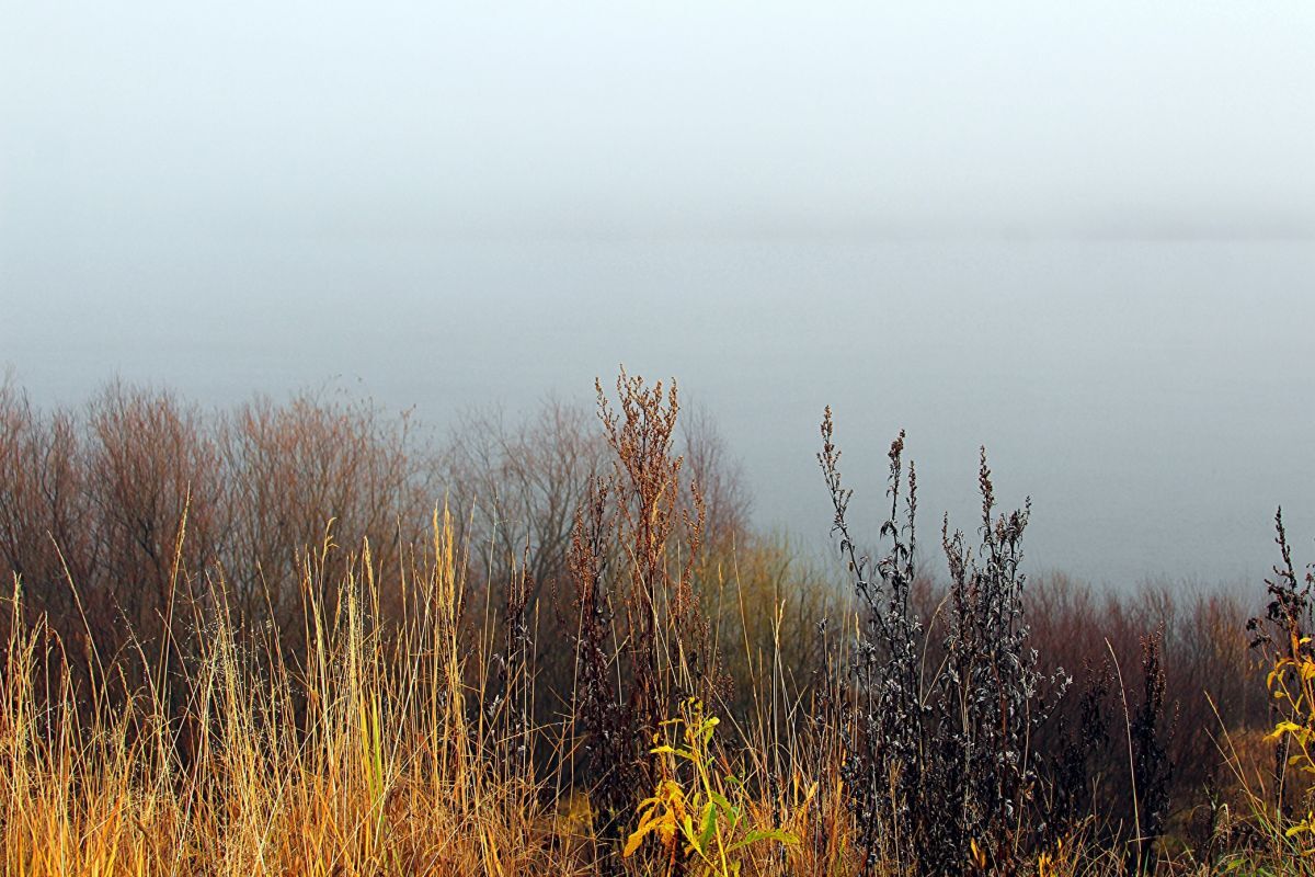 Иллюстрация к публикации