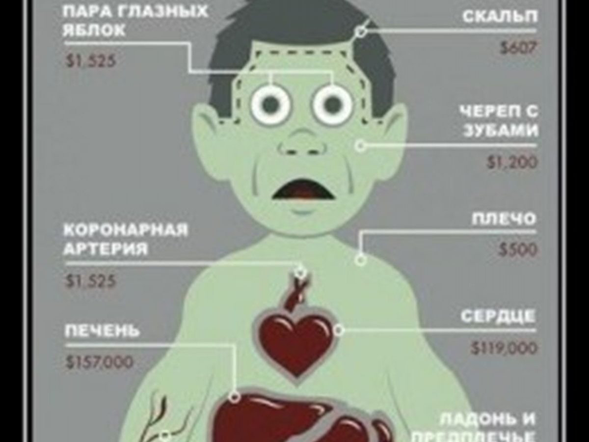 Иллюстрация к публикации