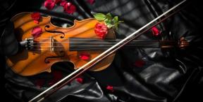 2067106-3679