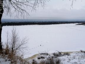 2068749-8130