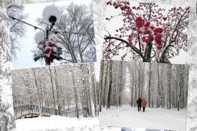 2075803-7451