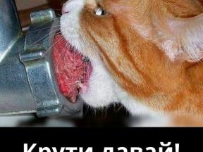 2080397-7054