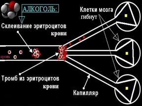 2084726-5111