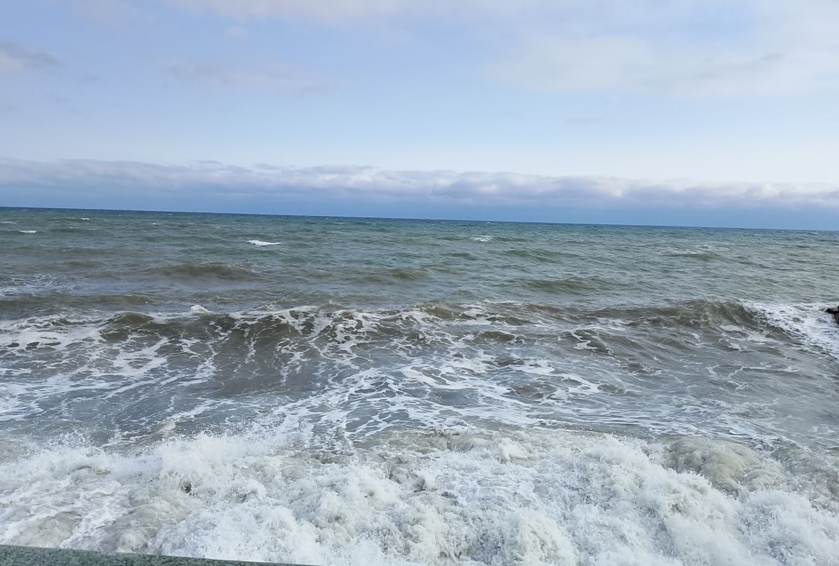 Иллюстрация к публикации