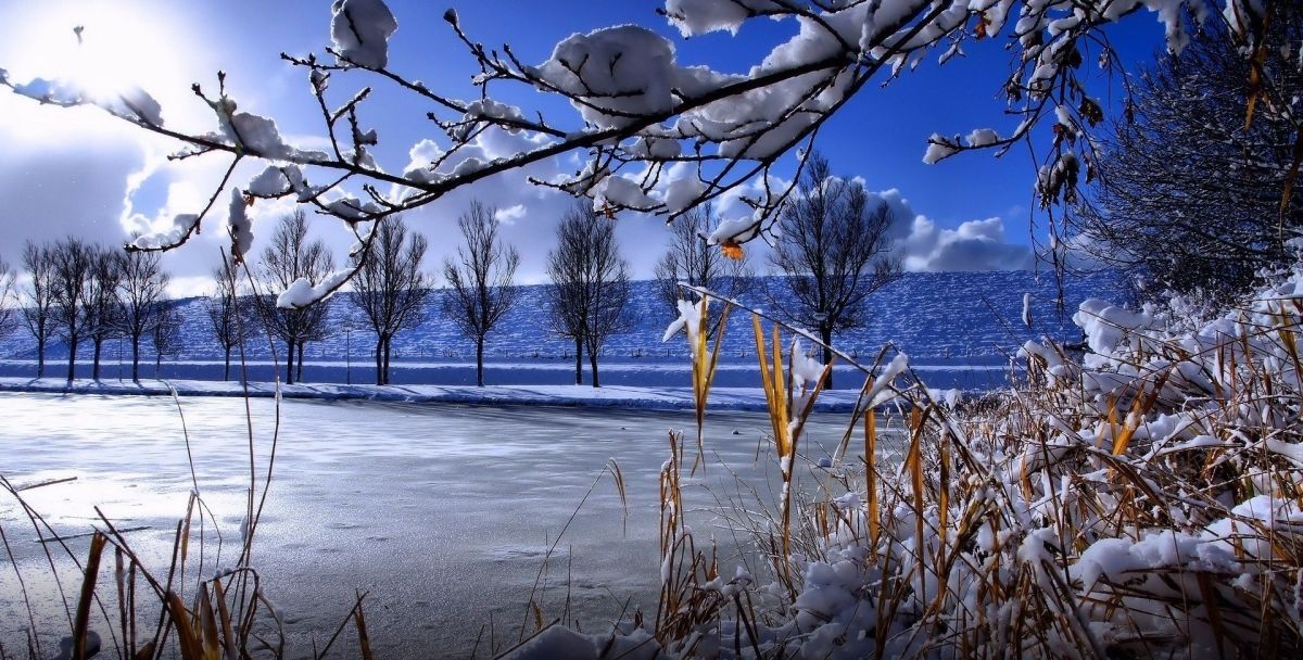 Иллюстрация к публикации