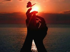 2096084-6620