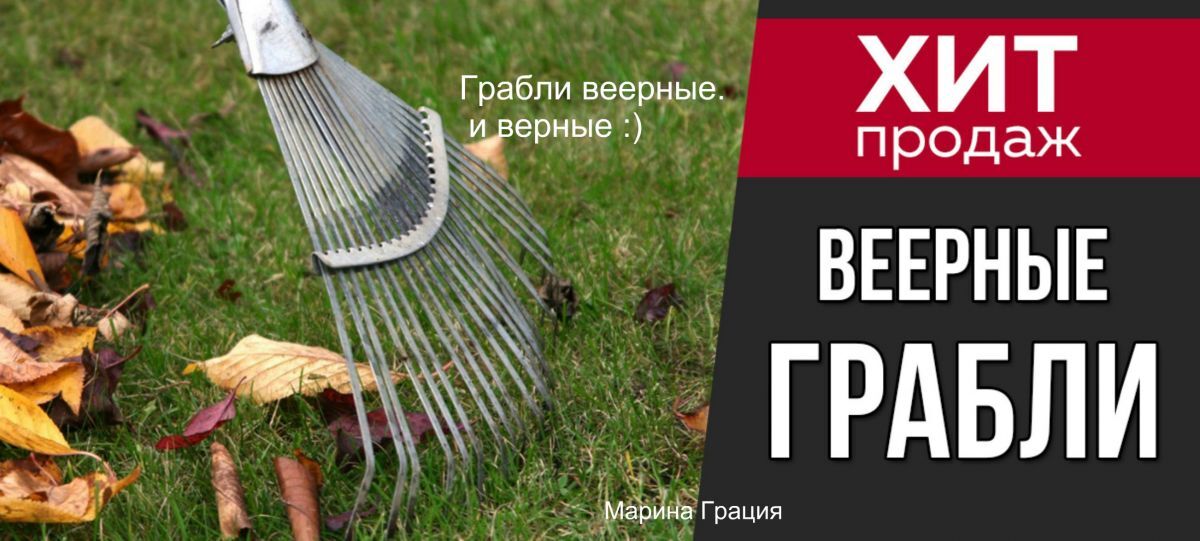 Иллюстрация к публикации