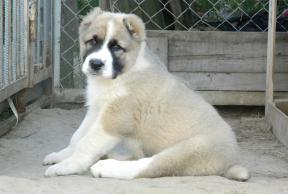 1427040-7896