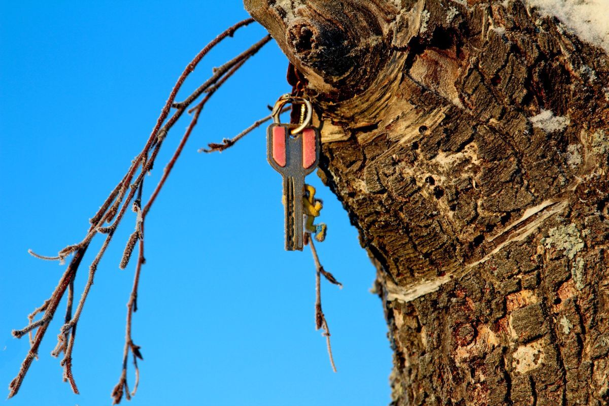 Иллюстрация к публикации