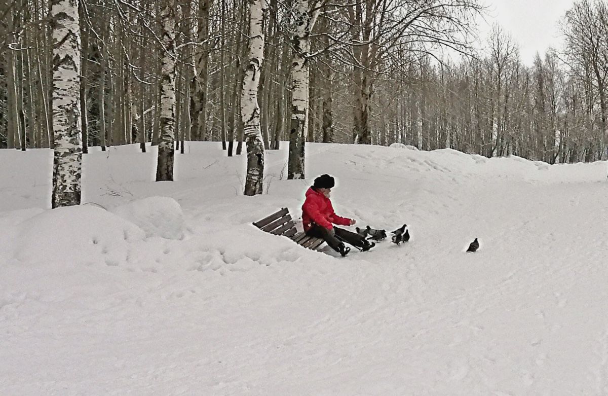 Иллюстрация к публикации