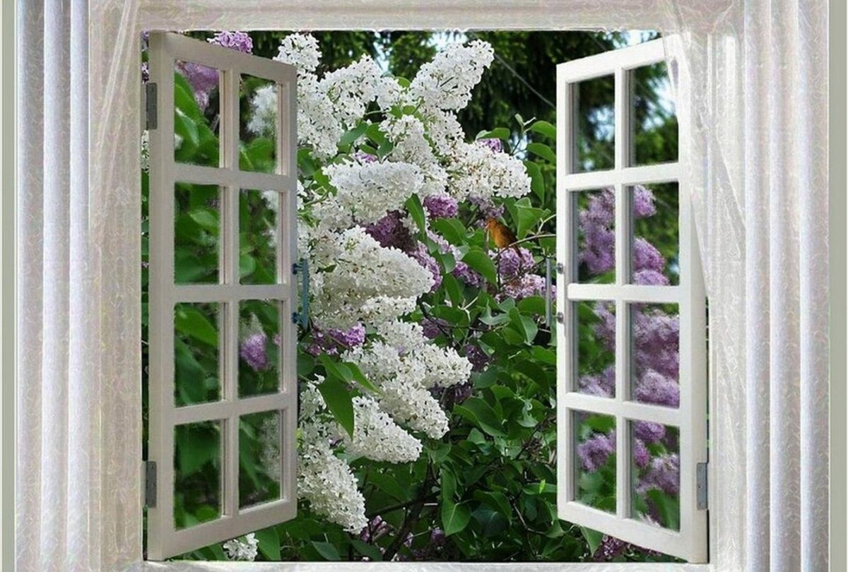 Иллюстрация к публикации