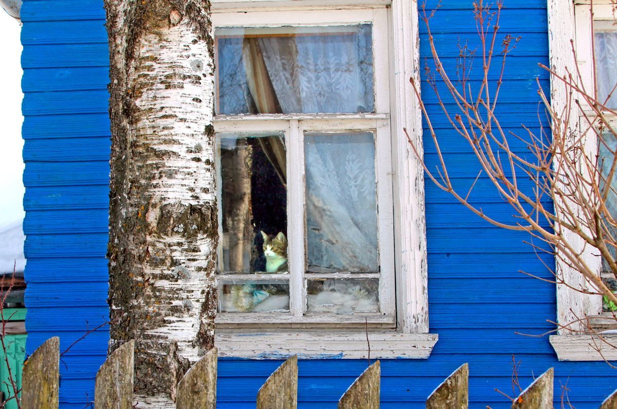 Иллюстрация к публикации