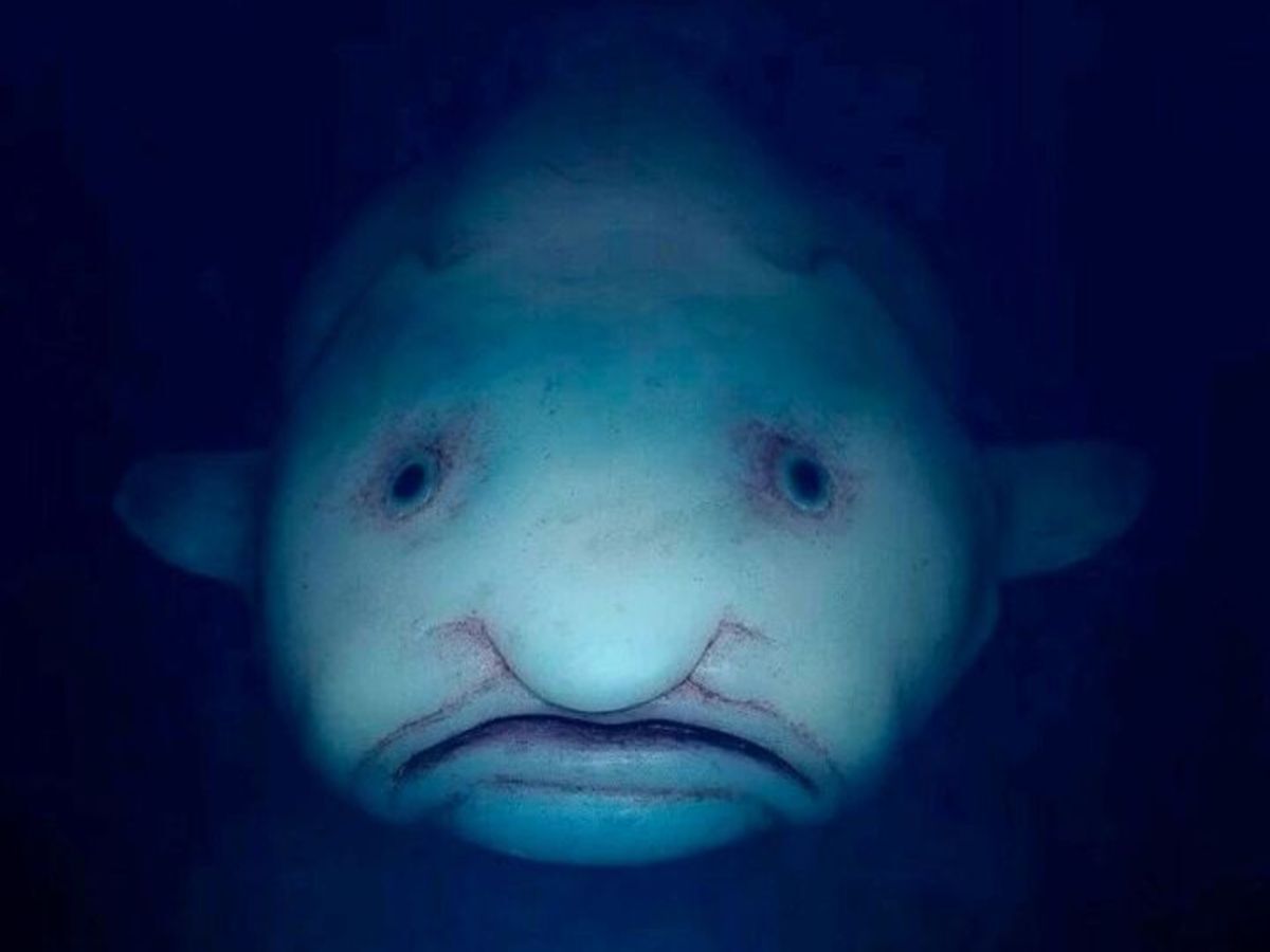 Иллюстрация к публикации