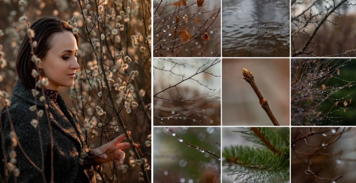 Иллюстрация к публикации