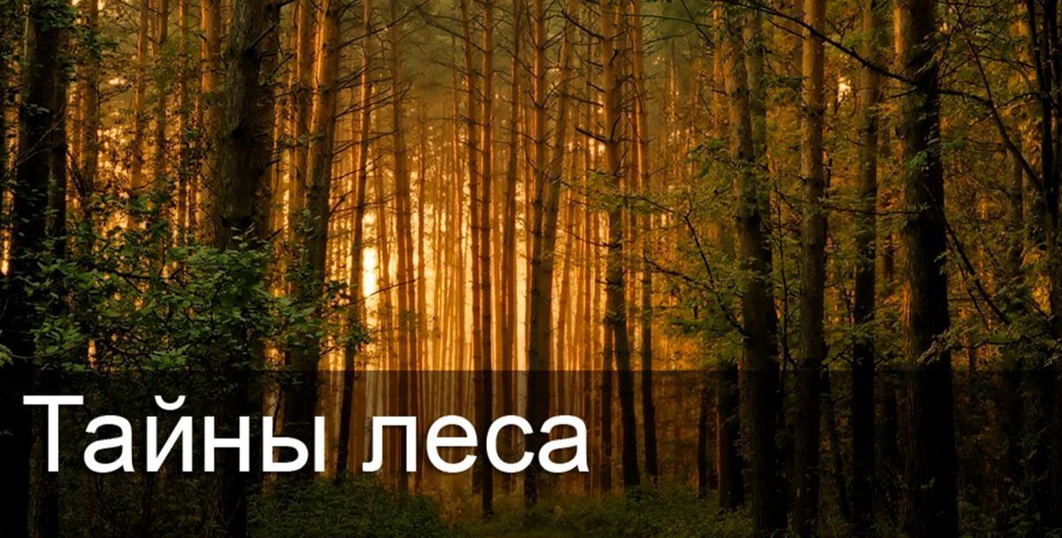 Иллюстрация к публикации