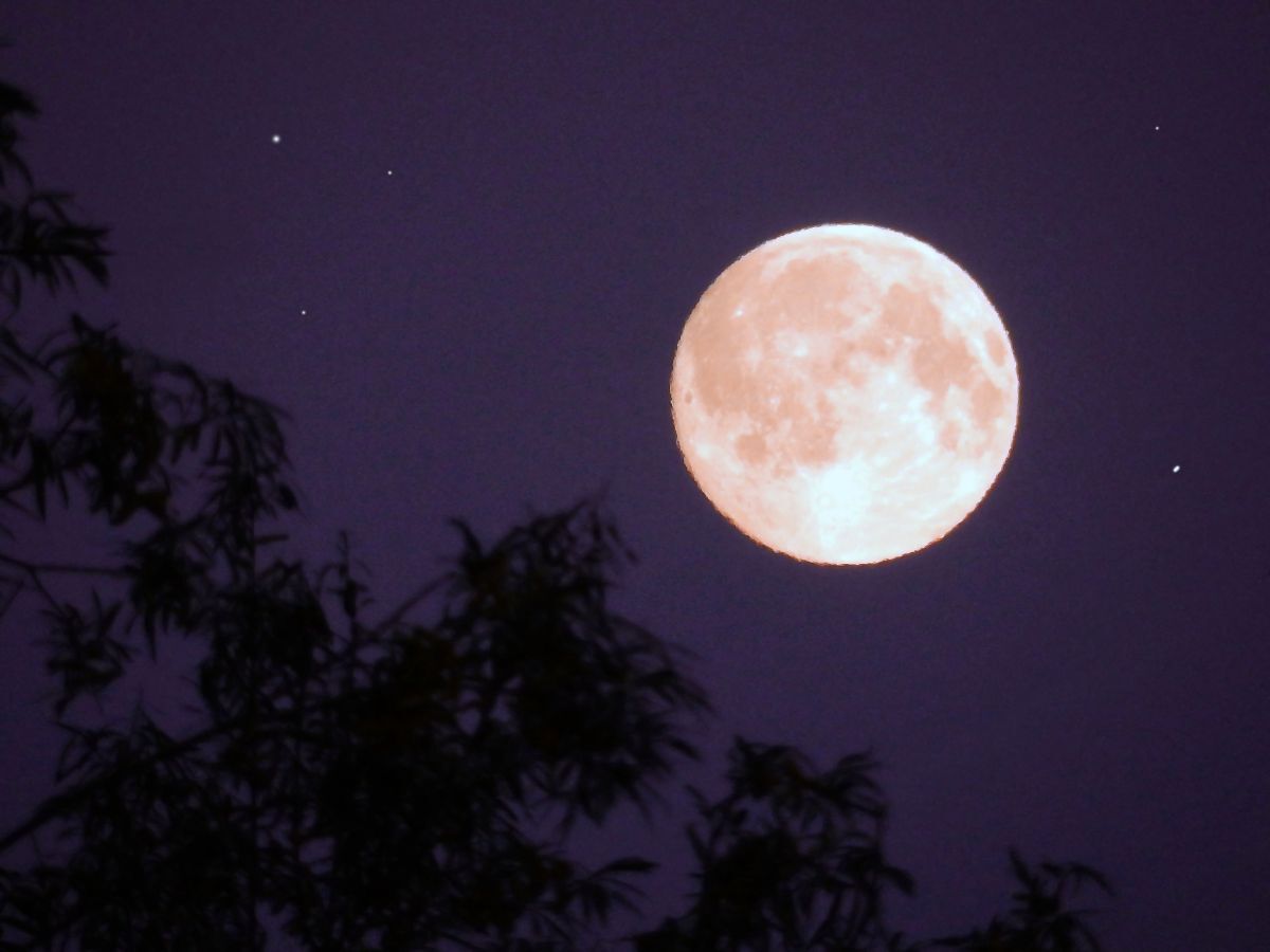 Иллюстрация к публикации