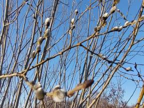 2109678-3437