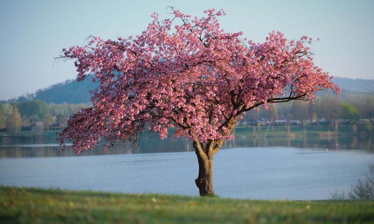Иллюстрация к публикации