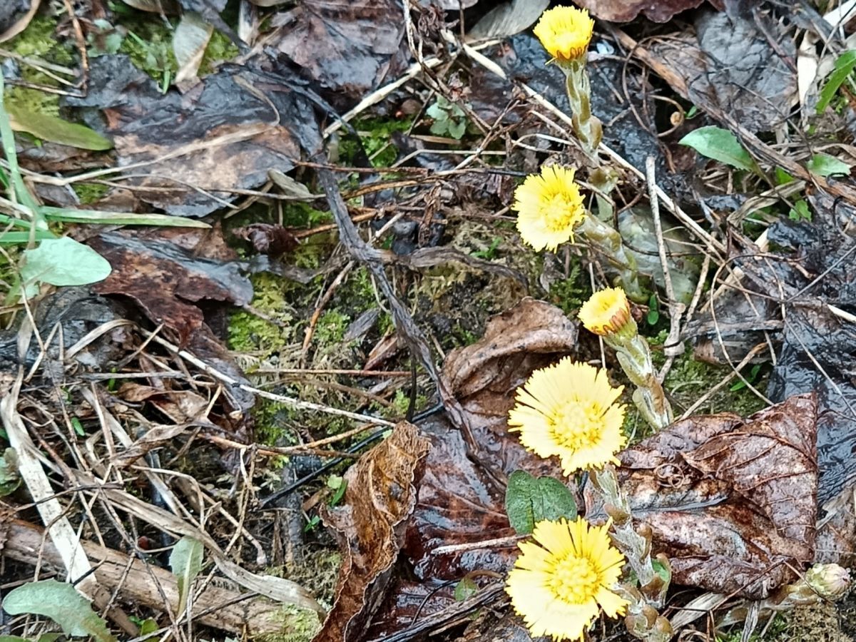 Иллюстрация к публикации