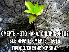 2113244-5238