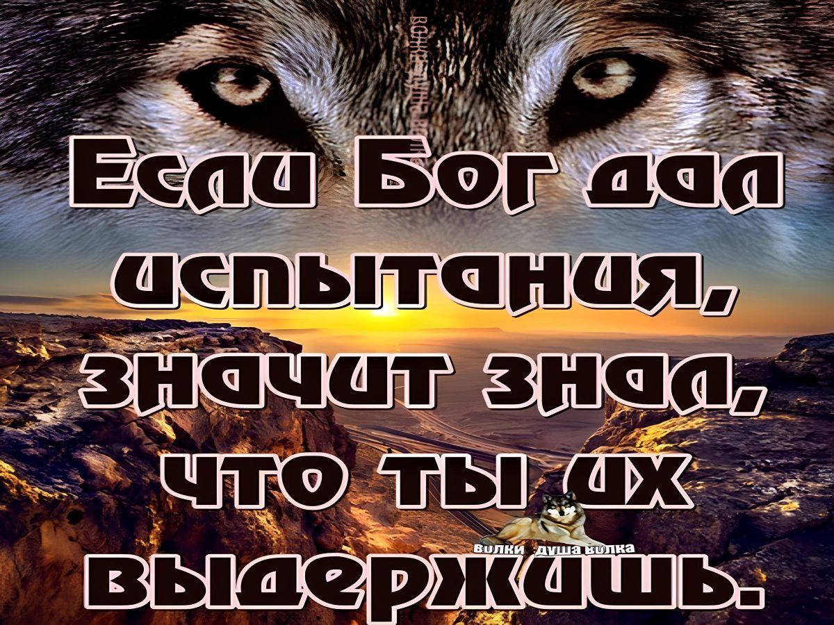Иллюстрация к публикации